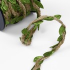 Тесьма декоративная холщовая «Листья», 25 мм, 9 ± 0,5 м, цвет бежевый/зелёный - фото 7841674