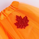 Карнавальный набор «Осенняя принцесса»: юбка и ободок - Фото 8