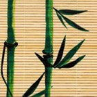 Циновка Макису «Бамбук», 22 х 24 см - Фото 5