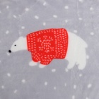 Плед «LoveLife. Северные мишки» 200×220 см, велсофт - Фото 10