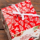 Коробка складная, подарочная новогодняя «Снегирь» 12×12×12 см - Фото 3