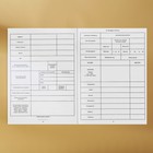 Медицинская карта А4, 16 листов. Форма № 026/у-2000 «Енотик» - фото 23145443