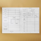 Медицинская карта А4, 16 листов. Форма № 026/у-2000 «Енотик» - фото 23145442