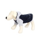 Толстовка с капюшоном Osso для собак, велюр, размер 22 (ДС 22 см, ОГ 32-34 см), графит - Фото 3