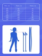 Комплект лыжный детский Snow Cat: лыжи 75 см, палки 75 см - Фото 5