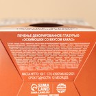 Печенье с глазурью, вкус: какао «Покоряй вершины», 100 г. - фото 23145461