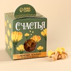 Печенье-эскимо «Все цветы для тебя» в коробке, вкус: банан, 100 г. - фото 11482122