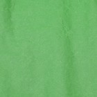 Бумага Эколюкс двухцветная зеленый/сиреневый 0.65 x 5 м - фото 25479850