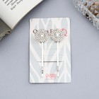 Невидимки для волос «Вивьен», набор 2 шт., круги, 5 см, серебро - Фото 2