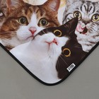 Фартук кухонный «Коты», полноцветный 9762913