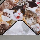 Фартук кухонный «Коты», полноцветный 9762913