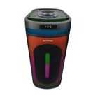 Портативная караоке система Soundmax SM-MS4205, 140 Вт, FM, AUX, USB, BT, SD, чёрная - фото 51479613 Портативная караоке система Soundmax SM-MS4205, 140 Вт, FM, AUX, USB, BT, SD, чёрная - фото 51479613