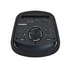 Портативная караоке система Soundmax SM-MS4206, 120 Вт, FM, AUX, USB, BT, SD, чёрная - фото 51479624 Портативная караоке система Soundmax SM-MS4206, 120 Вт, FM, AUX, USB, BT, SD, чёрная - фото 51479624