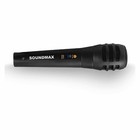 Портативная караоке система Soundmax SM-PS4212, 50 Вт, FM, AUX, USB, BT, SD, чёрная - Фото 6