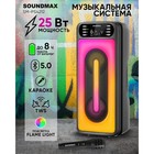 Портативная караоке система Soundmax SM-PS4212, 50 Вт, FM, AUX, USB, BT, SD, чёрная - Фото 7