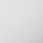 Картон грунтованный 18 х 24 см, толщина 2 мм, акриловый грунт, Calligrata, в наборе 9 шт. - Фото 4