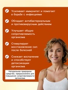 Настойка Кордицепс «Святая Рука», при инфекциях, 100 мл - Фото 2