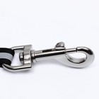 Рулетка "Пижон" с прорезиненной ручкой, 5 м, до 25 кг, трос, бирюзово-зелёная - фото 7843628