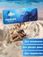 Ракушка декоративная, 7-11 см - Фото 3