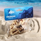 Ракушка декоративная, 7-11 см - Фото 8