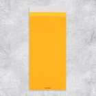 Набор подарочных конвертов «С Днём рождения», 10 штук, тиснение, 11 х 22 см - фото 31241102