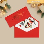 Конверт подарочный «Новогодних чудес», снегири, софт тач, тиснение, 19 х 9.2 см - фото 11582958