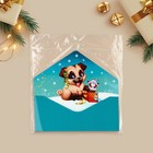 Конверт подарочный «Счастливого праздника», щенок, софт тач, тиснение, 19 × 9.2 см - Фото 6