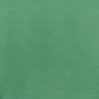 Пленка для цветов, "Новогодний калейдоскоп", зелёная 56см*10м - Фото 4