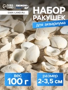 Набор ракушек, 2 - 3.5 см, 100 г - Фото 1