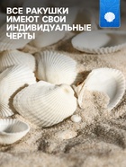 Набор ракушек, 2 - 3.5 см, 100 г - Фото 3