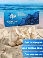 Набор ракушек, 2 - 3.5 см, 100 г - Фото 2
