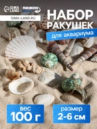 Набор ракушек Пижон Аква 100 г, микс №1 - Фото 1