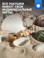 Набор ракушек Пижон Аква 100 г, микс №1 - Фото 2