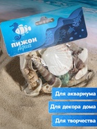 Набор ракушек Пижон Аква 100 г, микс №1 - Фото 3