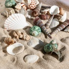 Набор ракушек Пижон Аква 100 г, микс №1 - Фото 4