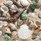 Набор ракушек Пижон Аква 100 г, микс №1 - Фото 5