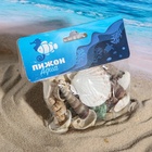 Набор ракушек Пижон Аква 100 г, микс №1 - Фото 7