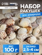 Набор ракушек, 2.5 - 4 см, 100 г - Фото 1