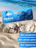Набор ракушек, 2.5 - 4 см, 100 г - Фото 3