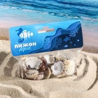 Набор ракушек, 2.5 - 4 см, 100 г - Фото 7