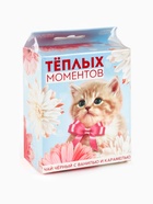 Чай подарочный со вкусом ваниль и карамель «Тёплых моментов» с европодвесом, 50 г - Фото 7