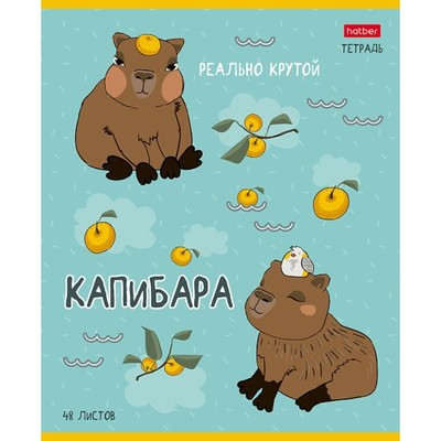 Тетрадь 48 листов в клетку «Реально крутой Капибара», обложка мелованный картон, блок 65 г/м², 5 В МИКС