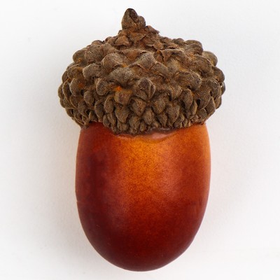 Декор «Жёлудь», набор 50 шт., размер 2.5×1.5 см