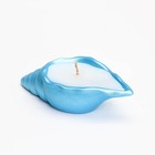 Свеча "Ракушка" в подсвечнике из гипса малая, 11,5х5,5х3,5 см, голубой - Фото 4