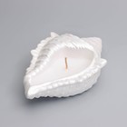 Свеча "Ракушка" в подсвечнике из гипса большая, 17х11х5,5см, белый перламутр - фото 23137357