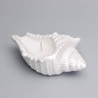 Свеча "Ракушка" в подсвечнике из гипса большая, 17х11х5,5см, белый перламутр - фото 23137358