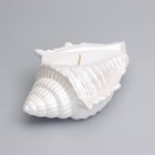 Свеча "Ракушка" в подсвечнике из гипса большая, 17х11х5,5см, белый перламутр - фото 23137359