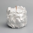 Свеча "Лев" в подсвечнике из гипса, 8,5х8х7см, белый перламутр - фото 7845323