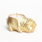 Свеча "Бульдог" в подсвечнике из гипса,8х12х4,5см, золото - фото 23145792