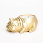 Свеча "Бульдог" в подсвечнике из гипса,8х12х4,5см, золото - фото 23145793